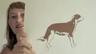 ZEEFDRUKKEN - MR. PODENCO VLOG #6