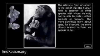 Forms of Racism - Specism
