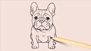 How to Draw a Dog Step by Step - French Bulldog Drawing Tutorial