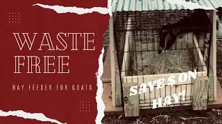 How to Build a No-Waste Hay Feeder for Goats!