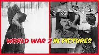 Amazing Historical Photos from World War II