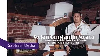 Stefan Constantin Moaca & Orchestra Ansamblului Profesionist Banatul - Braul de la Zlagna