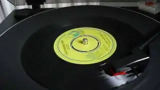 The Electric Light Orchestra - 