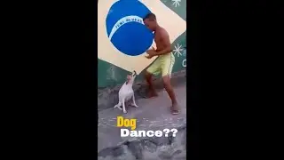 Brazilian dog dance