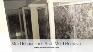Maryland Mold Inspections.m4v