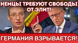 ВОСТОЧНЫЙ ВЕТЕР: АфД ГРОЗИТ КРАХОМ ХДС &ndash; 40% БИЗНЕСА УХОДИТ?