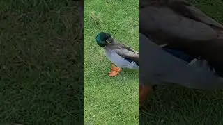 Cute Birds in Birds Garden | Moti Daman Travel Vlog 🐦🌿 | Best Place to Visit