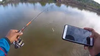 Ladyfish / Bandang Fishing on Ultralight Setup by Ahmad Radhafizal From Malaysia