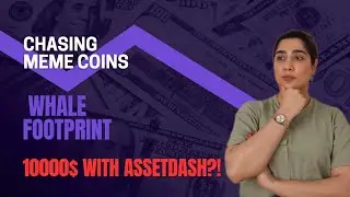 AssetDash portfolio tracker| My Fav App to Track & Win NFTs