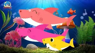 Underwater Baby Shark Adventure with Toddlers Rhymes TV | Nursery Rhymes | Kids Fun Learning Video