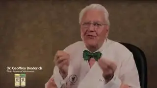 Feed Your Immune System With Superfoods
