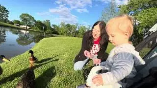 Baby feeding ducks