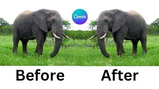 How to flip design in canva (step by step) - flip image in canva