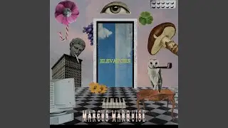 Elevators