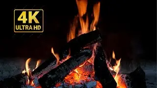 Night Bonfire Ambience &ndash; Cozy Crackling Campfire Sounds for Sleep, Focus & Relaxation [4K]