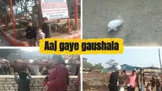 Aaj gaye gaushala 😁🔥
