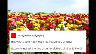 what a lovely day! even the flowers are singing!