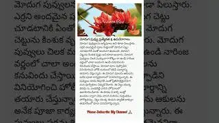 ఆరోగ్య చిట్కాలు Health Tips Telugu #telugu #healthtips #health #shorts #youtube #ytshorts #healthy