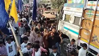 Ravidas julus