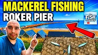 Mackerel Fishing On Roker Pier Summer 2025