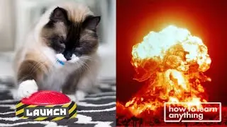 How I Trained My Cat to Launch a Rocket | HTLA