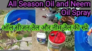 HMO neem oil spray half inch green tip neem oil spray kab karna chahiye fungicide mites inscat ilaaj