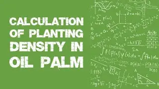 Calculation of Planting Density in Oil Palm