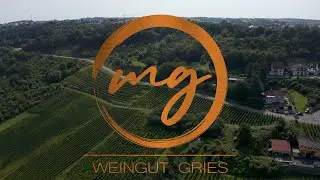 Weingut Gries aus Wincheringen - Made by Dodosworld
