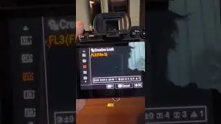 Имитация пленочных изображений на Sony?