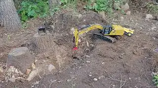 Kabolite K961 stump removal part 31