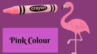 Pink Color Recognition || Nursery Kids