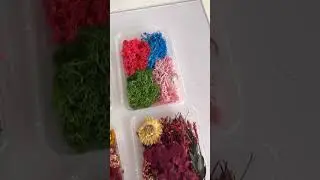 Resin Art Material #resinart #resinmaterials #resinsupplies #resincrafts #shorts #resinmaterial