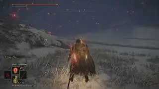 Elden Ring TRASH npc invader