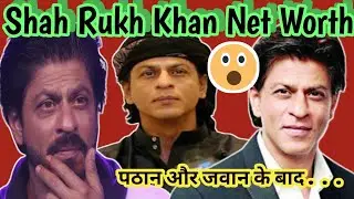 Shah Rukh Khan Net Worth After Pathan And Jawan | Shahrukh vs Salman vs Aamir
