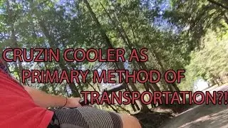 Note to self: One should not drive a Cruzin Cooler on main roads...