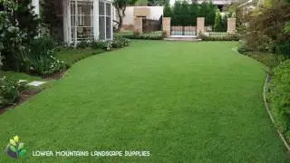 Turf at Lower Mountains Landscape Supplies