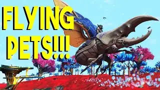 Летающие питомцы в новом обновлении No Man's Sky! Как получить своего летающего спутника прямо се...