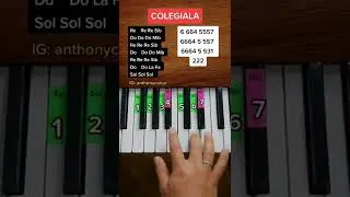 La Colegiala - Rodolfo Aicardi (PIANO TUTORIAL) EASY Piano F&aacute;cil Con N&uacute;meros