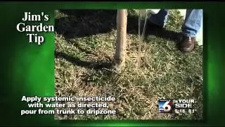 Jim's Garden Tip - Keeping Trees and Shrubs Healthy