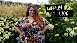 DIY Succulent Wreath + A Wedding | VLOG 026
