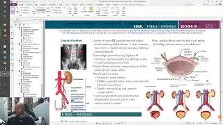 USMLE Live Stream -- First Aid 2019 -- Renal 1 Embryology and Anatomy