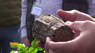 Tierra Fértil Tv - Genética en las plantas de Arándano por la empresa Fall Creek (27.04.23)