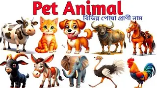 Pet animal name | pet animal name for kids |বিভিন্ন পোষা প্রাণী নাম বাংলা এবং ইংরেজিতে | pet animal