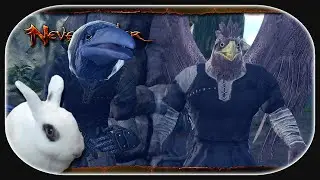 NEVERWINTER: Adventures in Wildspace 🐇 06 - Krieg unter V&ouml;geln