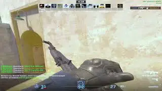 dm rofls