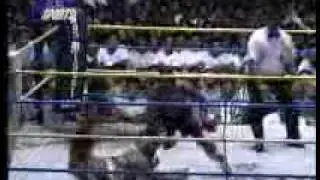 Pacquiao vs Torrecampo ---- Manny's first loss