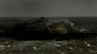 Elden Ring | Brass Shield Only | Radagon and Elden Beast