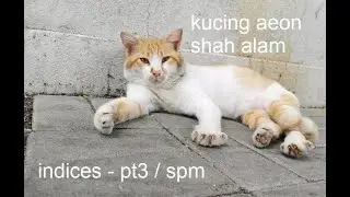 ulangkaji. pt3/spm. indices.