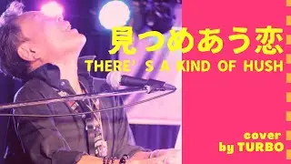 2026年新春ライブより　見つめあう恋(There’s a Kind of Hush )｜TURBO Cover Performance
