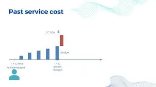 Past Service Costs: Impacts on IAS 19 / INDAS 19 Financial Statements